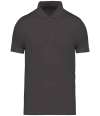NS200 Native Spirit Jersey Polo Shirt Iron Grey colour image